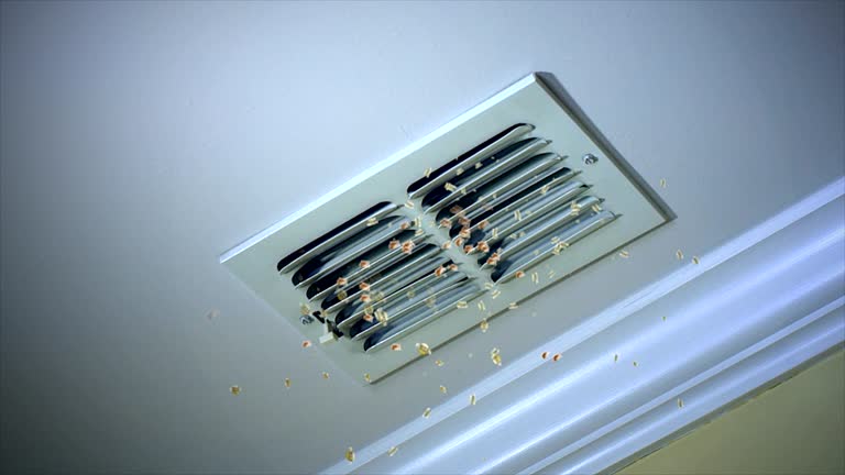 Best Emergency Air Duct Cleaning  in Lake Sherwood, CA